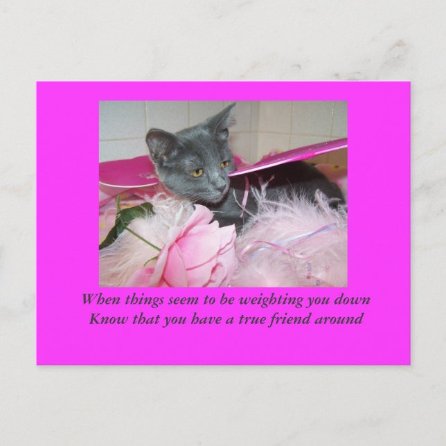 schlechte Tageskarte. Postkarte (Vorderseite)