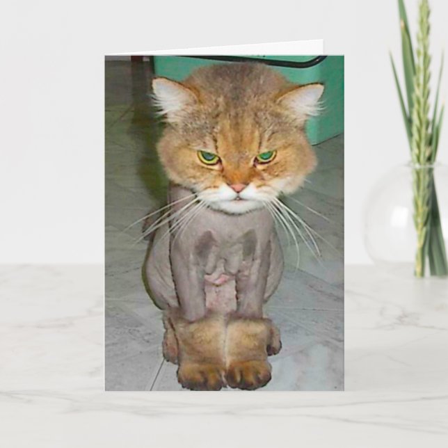 schlechter Geburtstag Karte (Vorderseite)