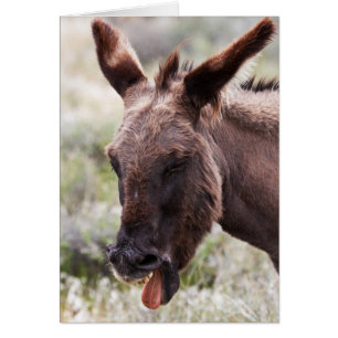 Schlechter Geschmack