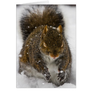 Schlechter Geschmack