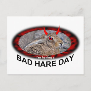 Schlechter Hasentag Postkarte
