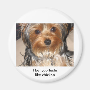 Schlechter Hund Magnet