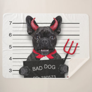 SCHLECHTER HUND SHERPADECKE