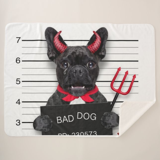 SCHLECHTER HUND SHERPADECKE (Vorderseite (Horizontal))