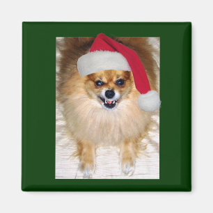 Schlechter Sankt-Weihnachtsmagnet Magnet