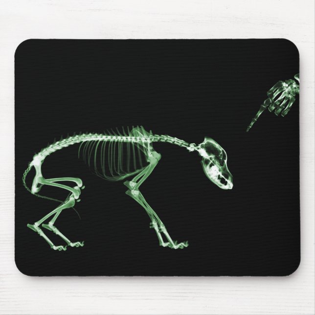 Schlechtes Hunderöntgenstrahl-Skelett im Grün Mousepad (Vorne)