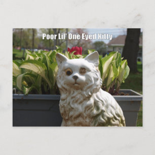 Schlechtes Lil ein mit Augen Kitty Postkarte