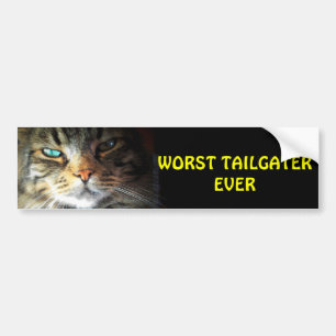 Schlechtester Drängler Aller Zeiten Bumper Cat Autoaufkleber
