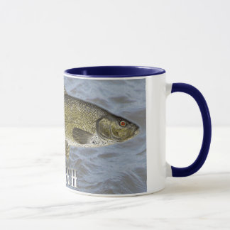 Schleie-Frischwasserfische, mit Wasser-Hintergrund Tasse