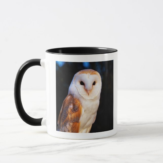 Schleiereule 2 tasse (Links)