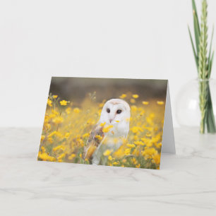 Schleiereule auf dem gelben Blumen-Gebiet Karte