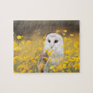Schleiereule auf dem gelben Blumen-Gebiet Puzzle