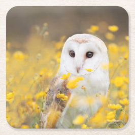 Schleiereule auf dem gelben Blumen-Gebiet Rechteckiger Pappuntersetzer