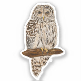 Schleiereule Aufkleber