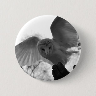 Schleiereule Button
