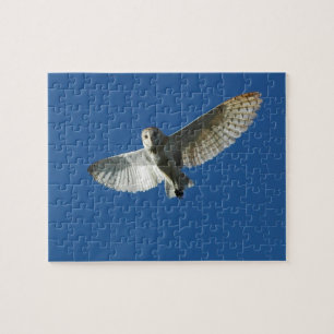 Schleiereule im Tagesflug Puzzle