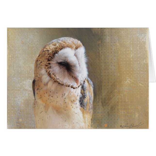 Schleiereule-leere Karte Andrews Denman (Vorderseite (Horizontal))