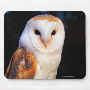 Schleiereule Mousepad