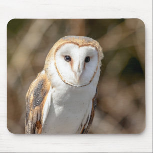 Schleiereule Mousepad