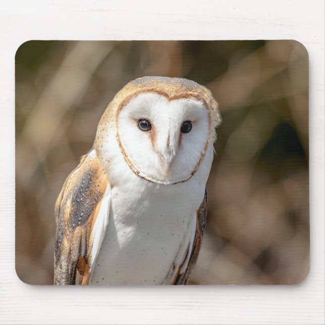 Schleiereule Mousepad (Vorne)