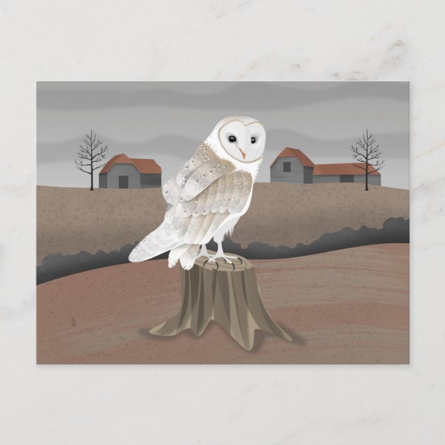 Schleiereule Postkarte (Vorderseite)