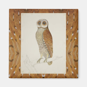 Schleiereule rustikale Vintage-Naturillustration g Magnet