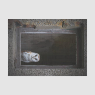 Schleiereule-Seidenpapier Seidenpapier