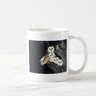 Schleiereulen in einem Baum Tasse