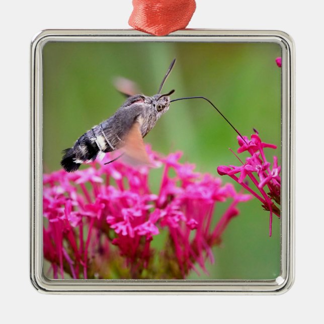 Schleifpapier Ornament Aus Metall (Vorne)