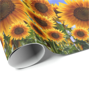 Schleifpapier Sonnenblume Geschenkpapier