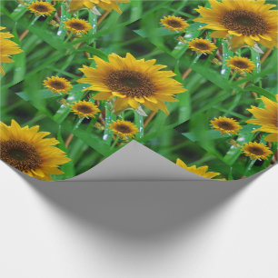 Schleifpapier Sonnenblume Geschenkpapier