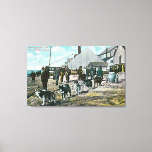 Schleppen des Wassers mit DogsNome, AK Leinwanddruck