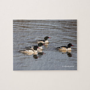Schleuse der gemeinsamen Merganser-Enten am Slough Puzzle