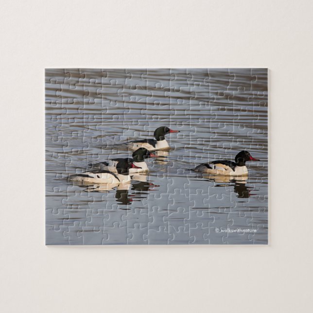 Schleuse der gemeinsamen Merganser-Enten am Slough Puzzle (Horizontal)