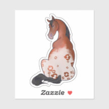 Schlicht erfrischende Appaloosa