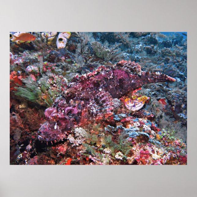 Schlicht Poster (Vorne)