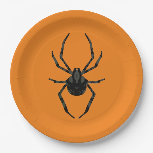 Schlichte Alte Spinne Pappteller (Vorderseite)