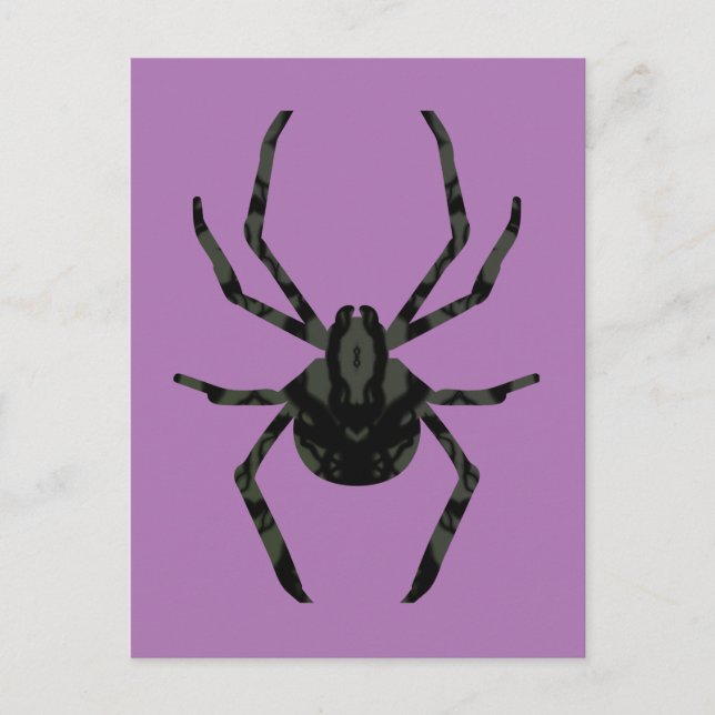 Schlichte Alte Spinne Postkarte (Vorderseite)