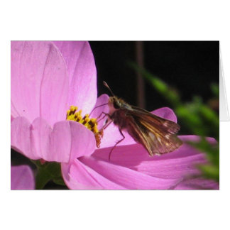 Schlichte Schmetterlingskarte