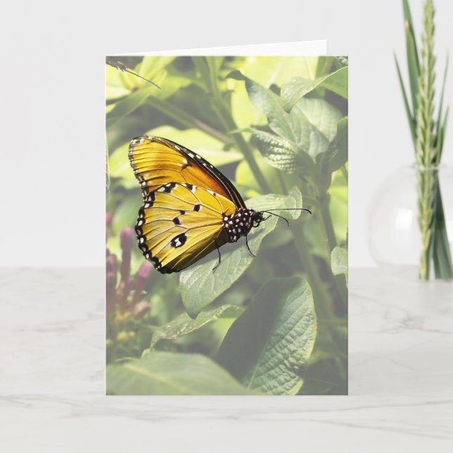 Schlichte Tiger Butterfly-Karte Karte (Vorderseite)