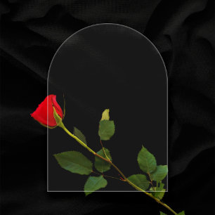 Schlichte transparente 5"x7" Arch Blank-Hochzeit Acryleinladungen