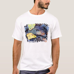 schlichte Überschwemmung von Baumwollenholz T-Shirt