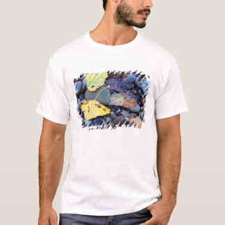 schlichte Überschwemmung von Baumwollenholz T-Shirt