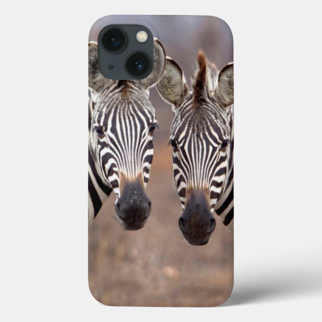 Schlichte Zebras, Krüger Nationalpark Case-Mate iPhone Hülle (Rückseite)