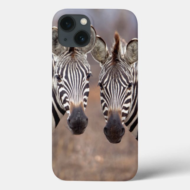 Schlichte Zebras, Krüger Nationalpark Case-Mate iPhone Hülle (Rückseite)