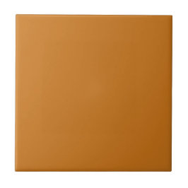 Schlichte Zimtfarben Orange Braune Farbtafel Fliese