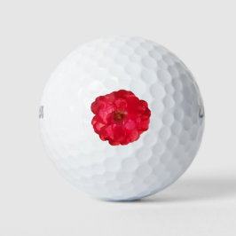 Schließen einer korallenfarbenen Rose Golfball