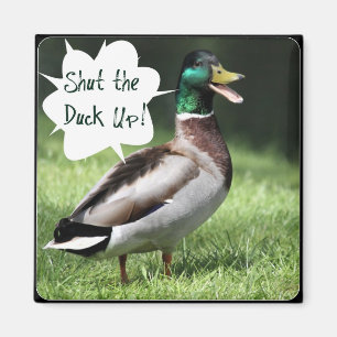 Schließen Sie das Duck Up Magnet