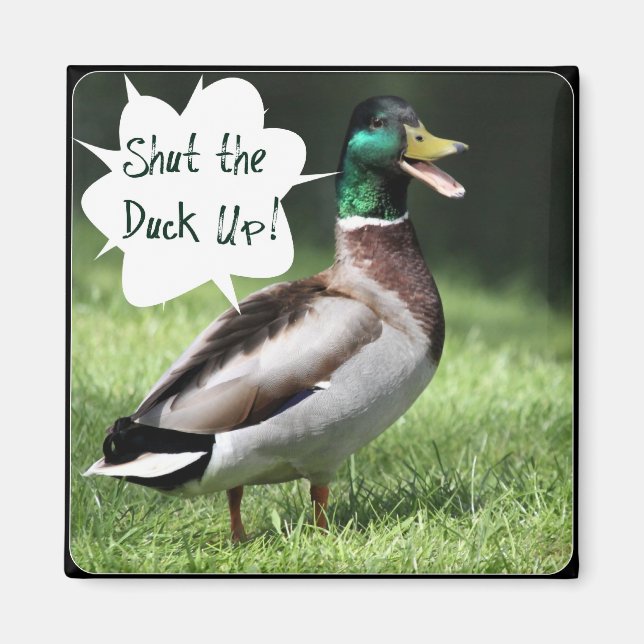 Schließen Sie das Duck Up Magnet (Vorne)