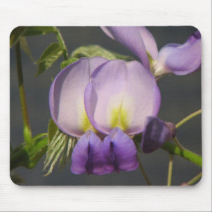 Schließen Sie herauf lila Wisteria Mousepad